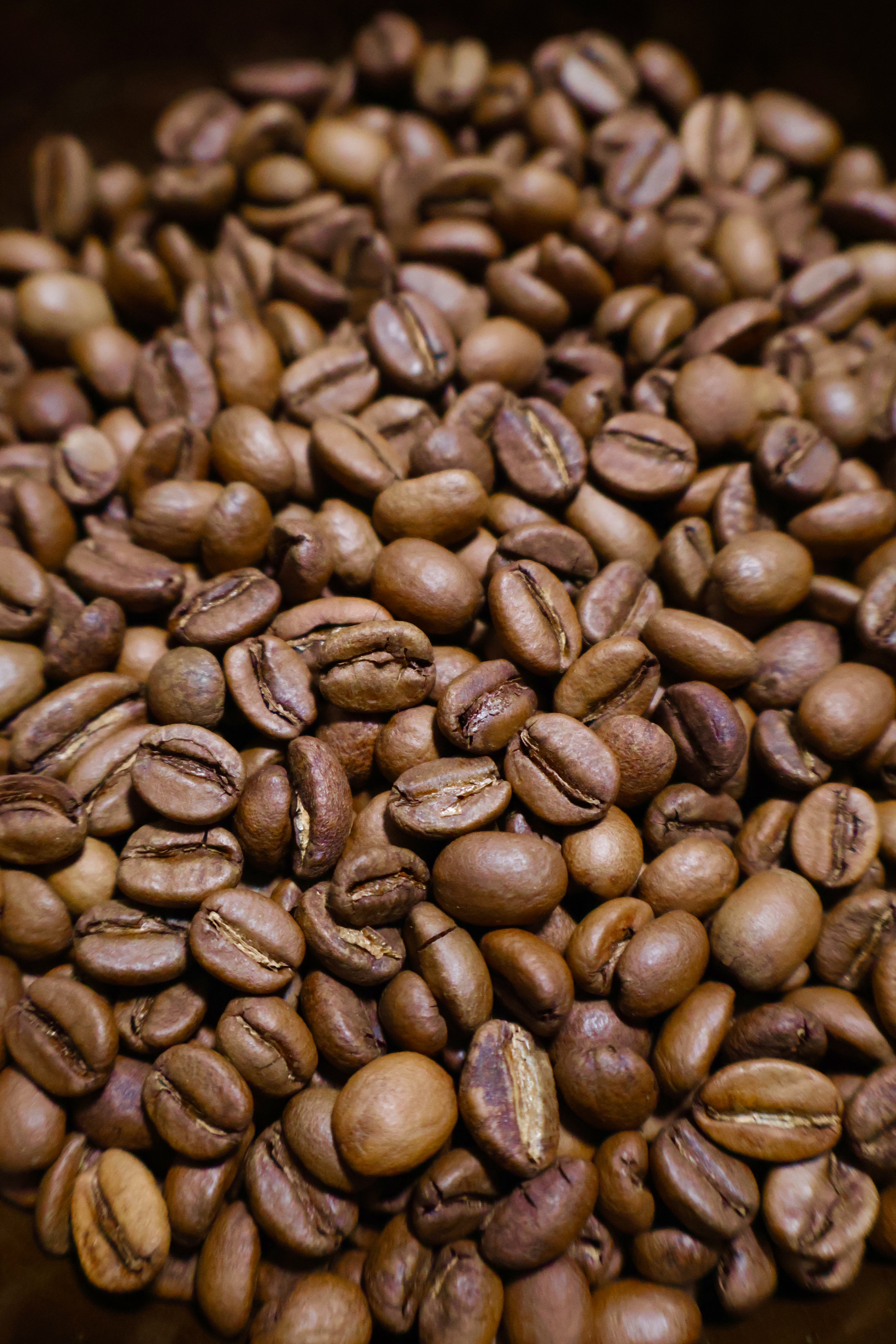 Close-up de café