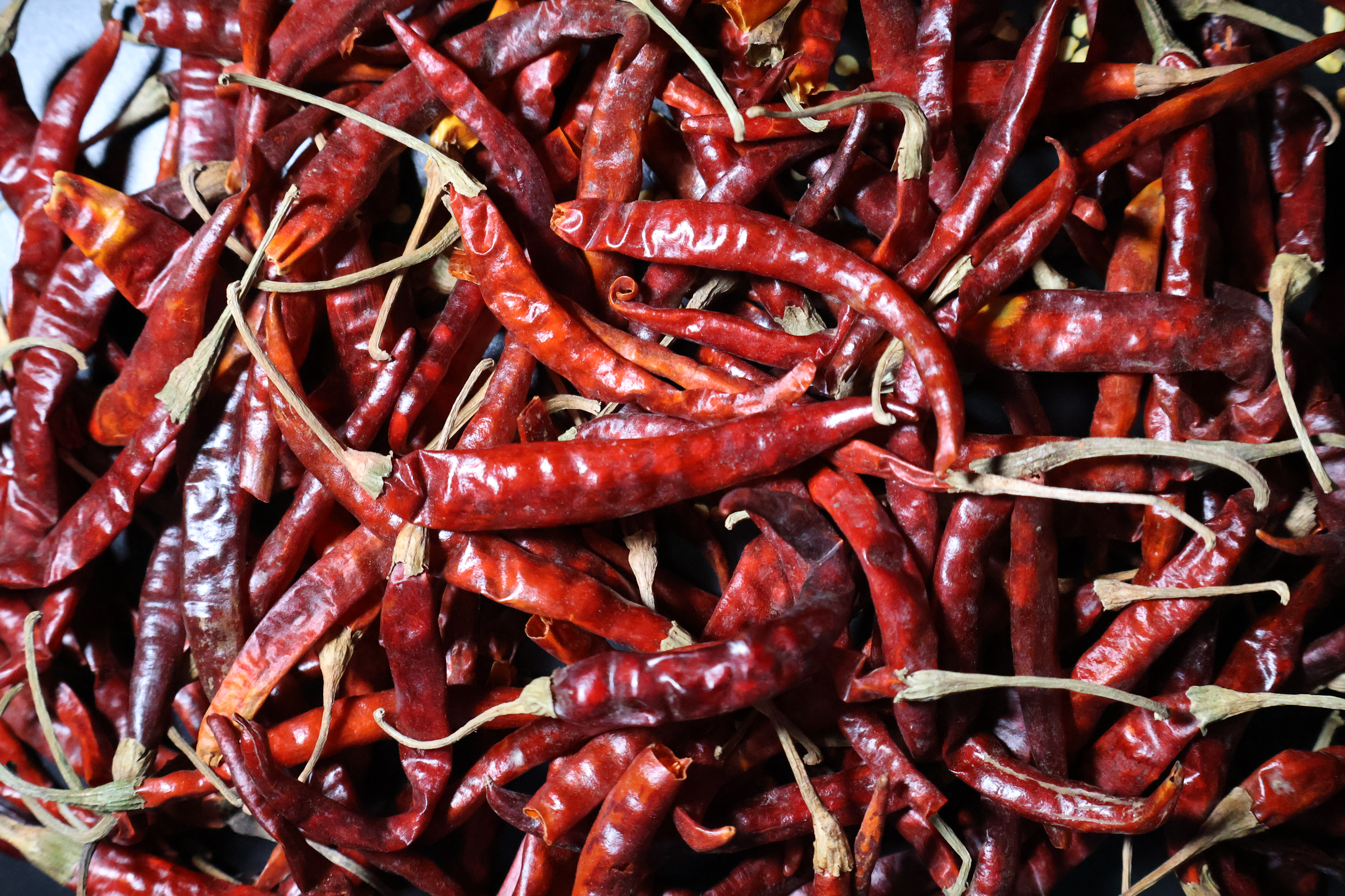 Close-up de chile de árbol seco
